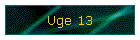 Uge 13