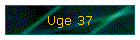 Uge 37